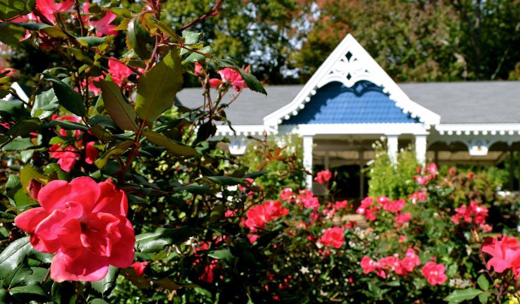 Victoria Inn Хэмптон Экстерьер фото